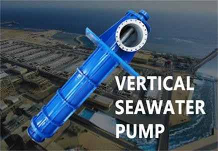 A Comprehensive Guide to Vertical Seawater Pumps